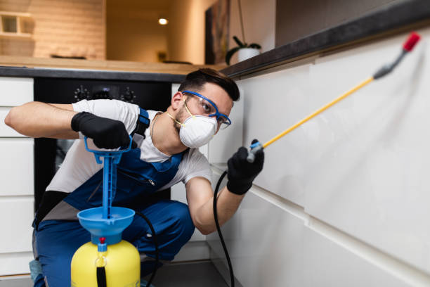 Best Best Pest Control Companies  in Dubuque, IA