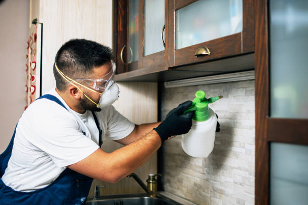 Best Affordable Pest Control Services  in Dubuque, IA