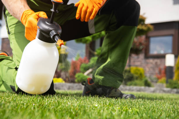 Best Pest Prevention Services  in Dubuque, IA