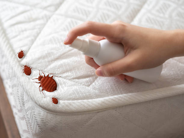 Best Cockroach Control Services  in Dubuque, IA