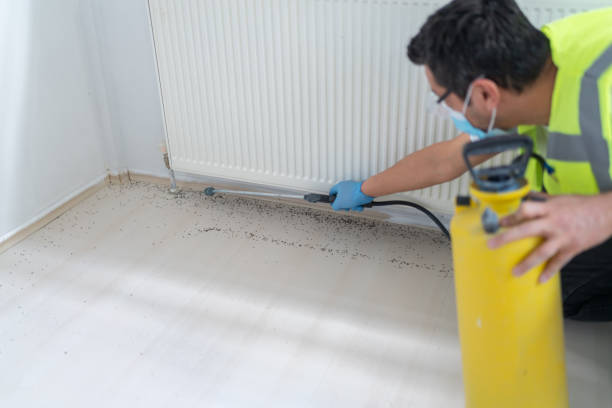 Best Bed Bug Extermination  in Dubuque, IA