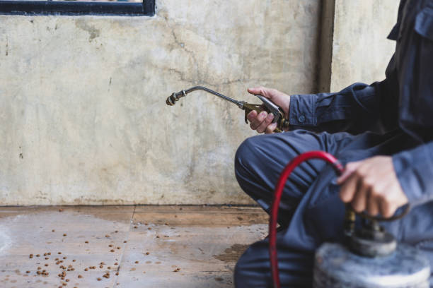 Best Best Pest Control Companies  in Dubuque, IA